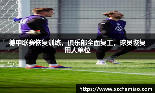 leyu乐鱼体育官网