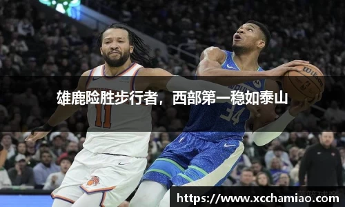 leyu乐鱼体育