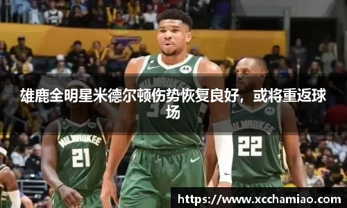 leyu乐鱼体育官网