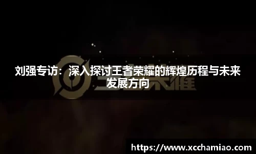 刘强专访：深入探讨王者荣耀的辉煌历程与未来发展方向