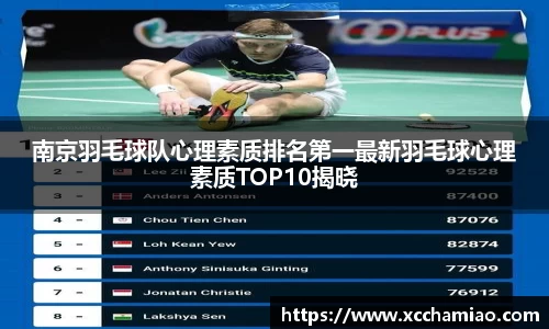 南京羽毛球队心理素质排名第一最新羽毛球心理素质TOP10揭晓
