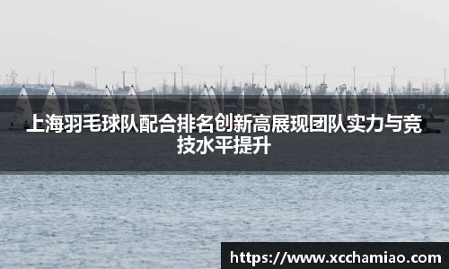 上海羽毛球队配合排名创新高展现团队实力与竞技水平提升