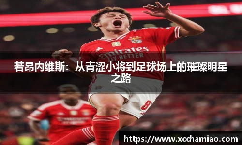 若昂内维斯：从青涩小将到足球场上的璀璨明星之路