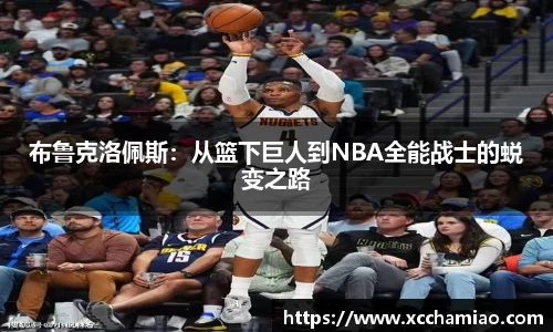 布鲁克洛佩斯：从篮下巨人到NBA全能战士的蜕变之路