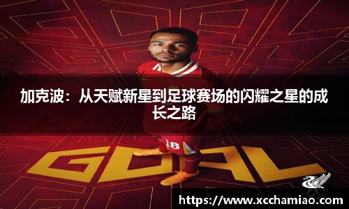 leyu乐鱼体育官网