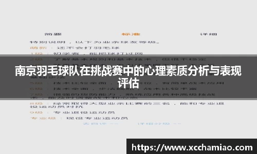 南京羽毛球队在挑战赛中的心理素质分析与表现评估