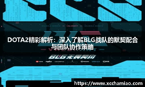 DOTA2精彩解析：深入了解BLG战队的默契配合与团队协作策略